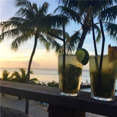 碧蓝档案测试版下载